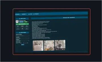Multilingual marketplace interface